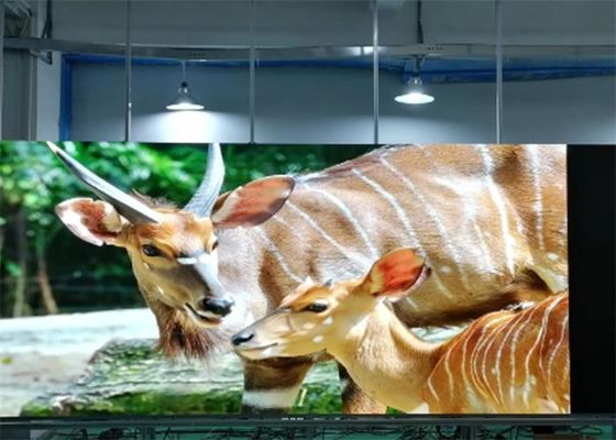 شاشة LED داخلية ملونة كاملة P1.923 SMD1515 مثبتة على الحائط فائقة الدقة