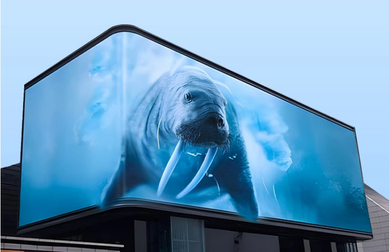 CE Rohs P6 LED Panel Screen داخلية LED Display Billboard للإعلانات في المدينة
