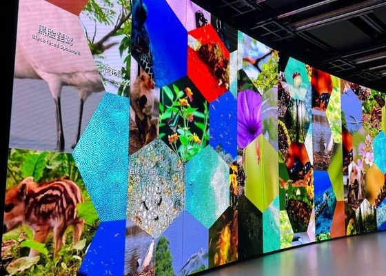 Pixel Pitch P6 شاشة LED ثابتة مع Smd3535/2727 حجم الشكل LED وحجم الخزانة المخصصة