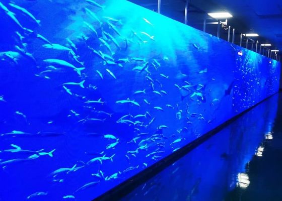 P2.5 الإعلانات الداخلية / الخارجية Full Color HD LED Rent Screen الجدار الإعلامي الكبير COB