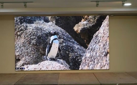 P1.667 استئجار شاشة RGB LED نظام NOVA معدل تحديث عالي HD لا سحب الظل