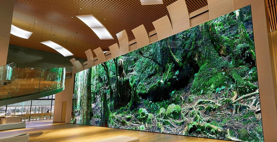 شاشة P3 Full Color LED مع دقة وحدة 64 * 64 ووزن وحدة 0.36 كجم لمشاهدة الدقة العالية