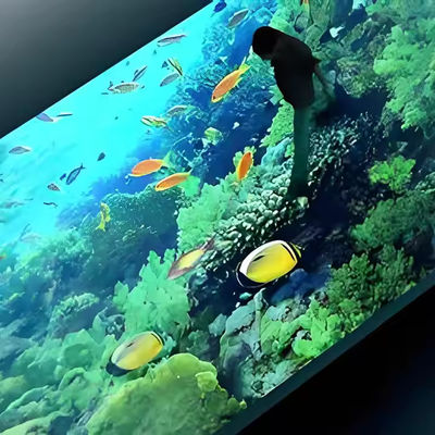 شاشة سطح الرقص 500x1000mm LED 4.81mm Pixel زاوية مشاهدة 160°