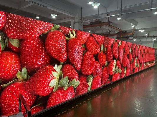 شاشة LED ملونة كاملة داخلية P5 بدون مسامعة عالية الوضوح SMD 3-In-1 خفيفة الوزن