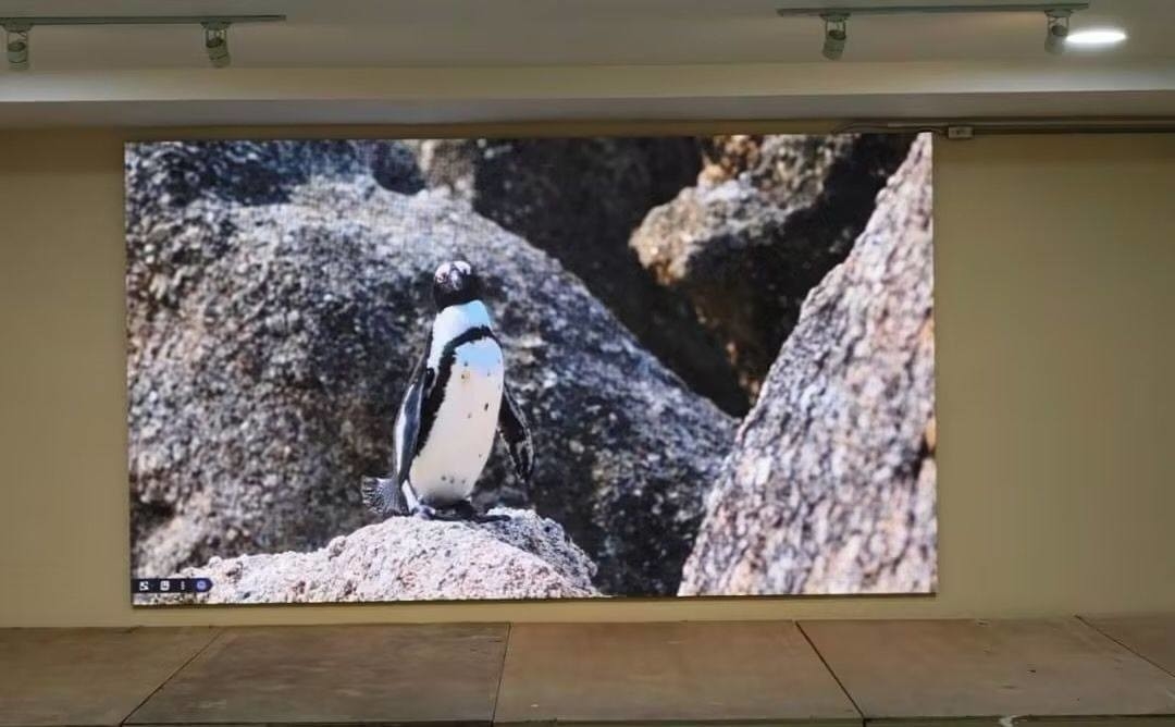 3. رقاقة أنبوب اللون الكامل و 320 * 160mm حجم القالب