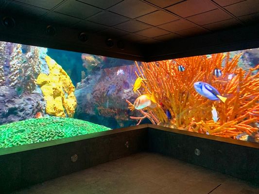 P5 الإعلانات الخارجية الشاشة المنحنية LED SMD2121، الوضوح 2500 نيت