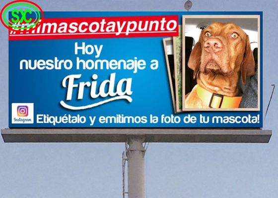 شاشة ألومنيوم المصبوب الميت صندوق حديدي / تأجير تجاري مستقل في الهواء الطلق كامل لون شاشة LED للشوارع والسوبر ماركت الإعلان