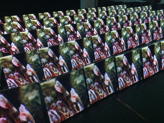 تأجير في الهواء الطلق شاشة LED للماء المرحلة شاشة خلفية الجدار 6500K-9500K